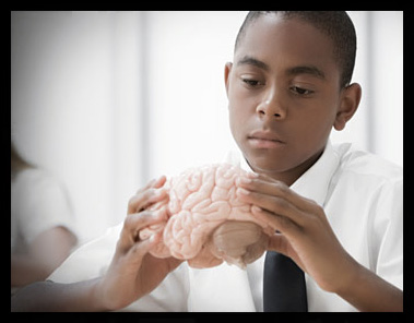 Boy with model of brain